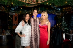 Bloggers_Christmas_Party_The_Montague_Hotel_Ski_Lodge (34)