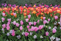 Location Shoot for Danubius Hotel