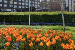 Location Shoot for Danubius Hotel