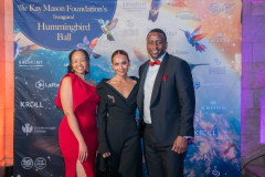 lesley-ann-brandt-photograph-at-charity-ball