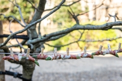 Montague-on-the-Gardens-Hotel-Garden-Event-Space (4)