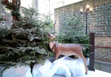 Christmas-Hotel-Photography-The-Montague-Ski-Lodge (5)