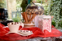 Christmas-Hotel-Photography-The-Montague-Ski-Lodge (6)